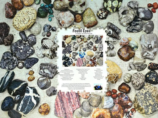 Fossil Eyes