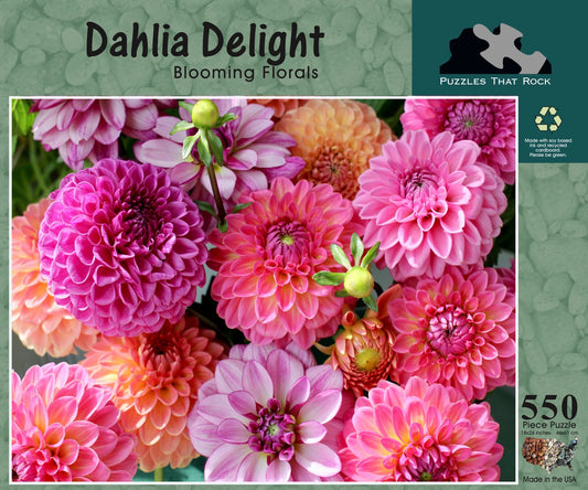 Dahlia Delight