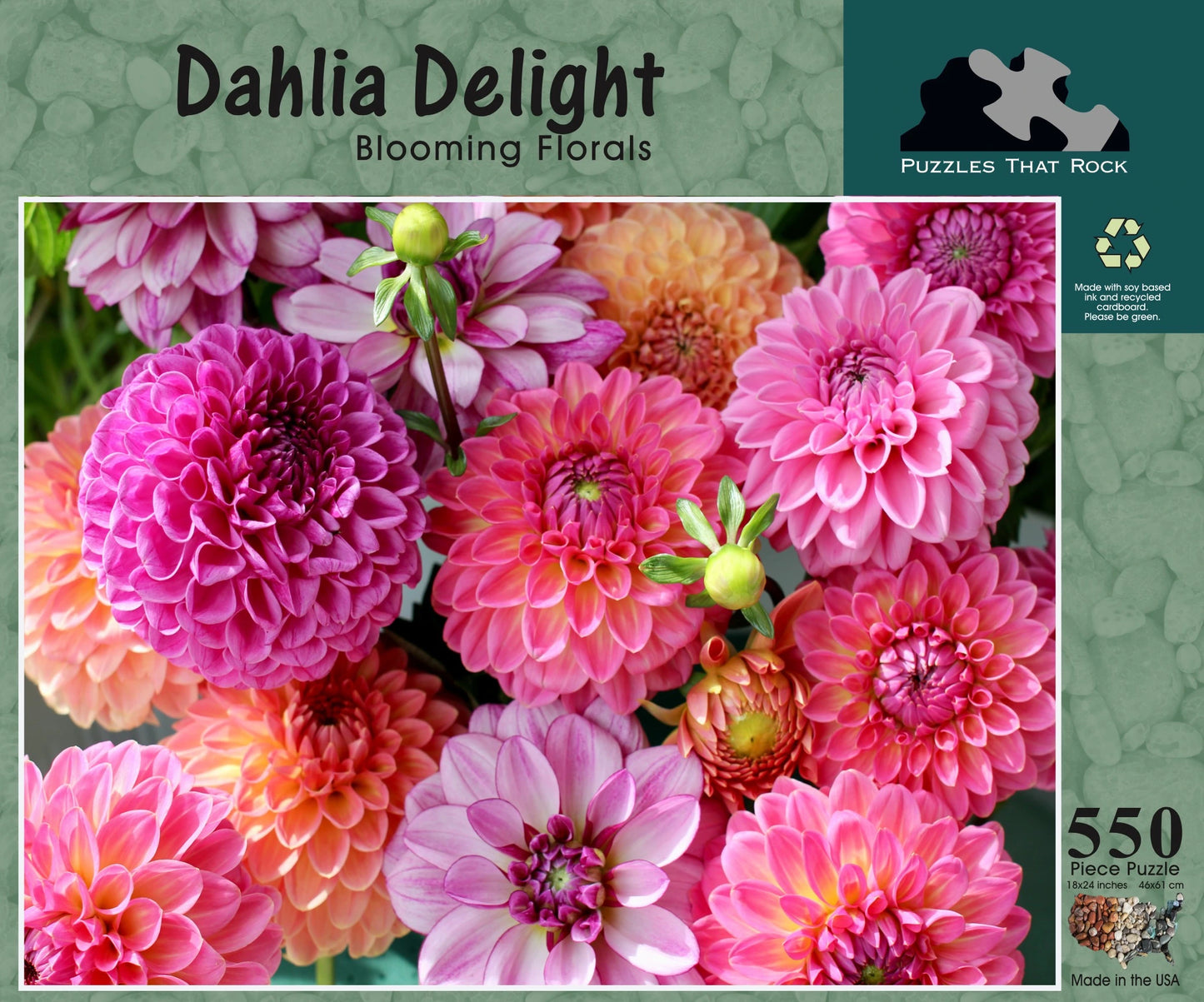 Dahlia Delight