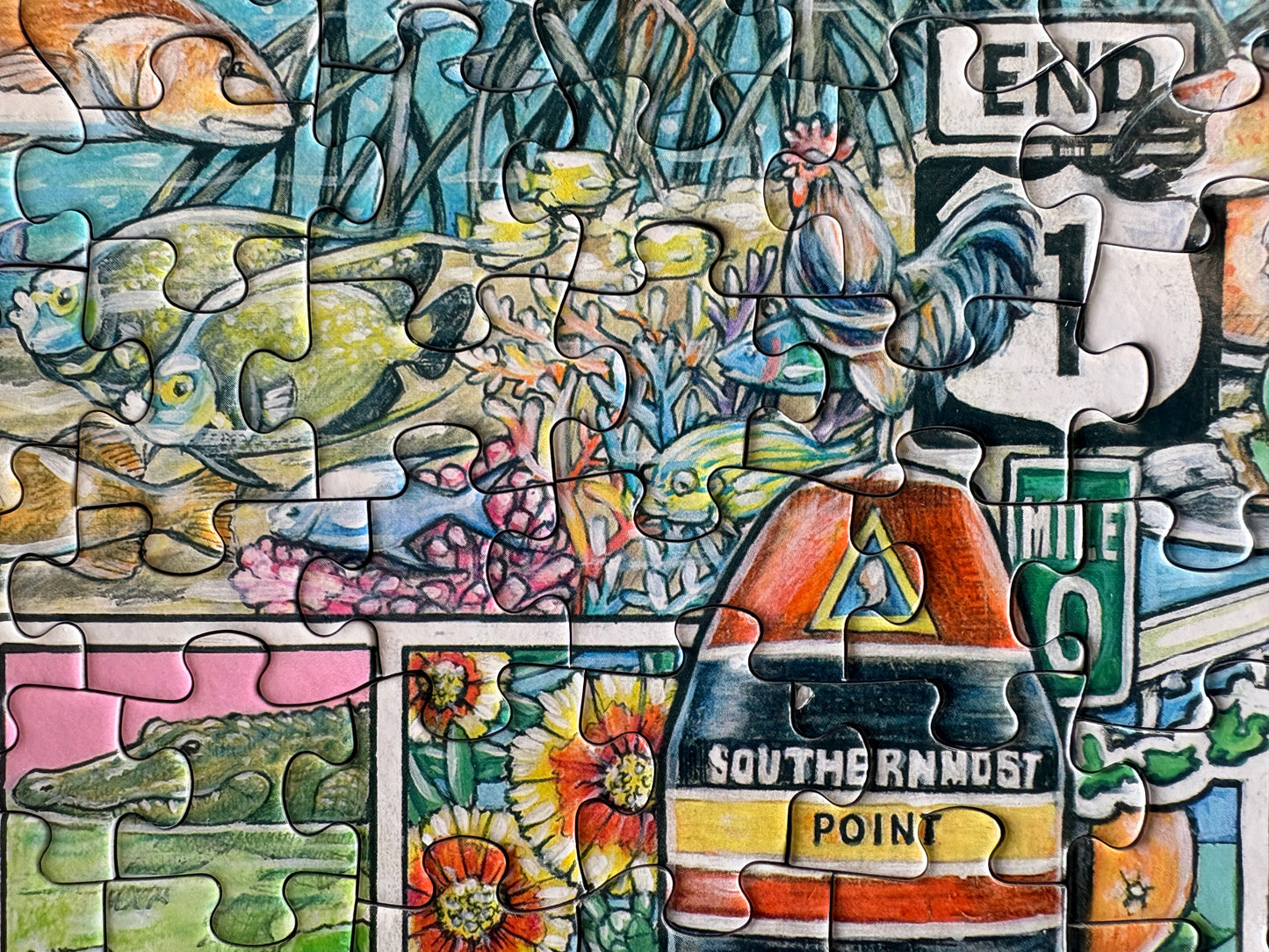 Florida Seek & Find