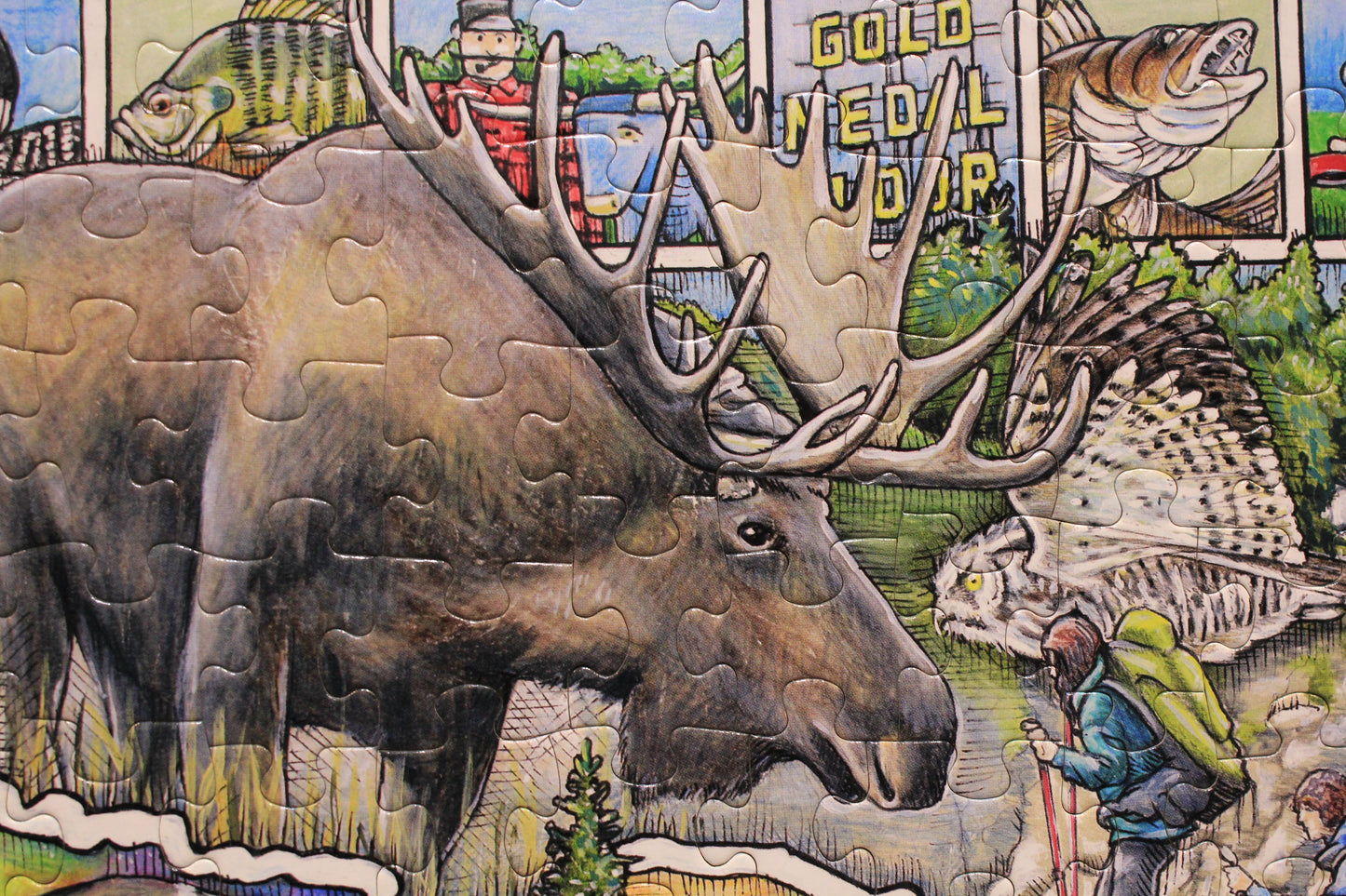 Minnesota Seek & Find