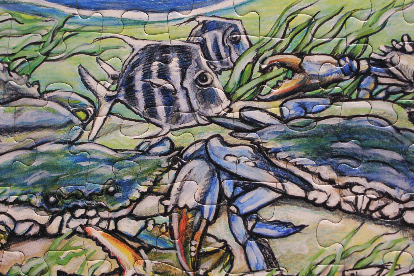 Blue Crab Bounty Seek & Find