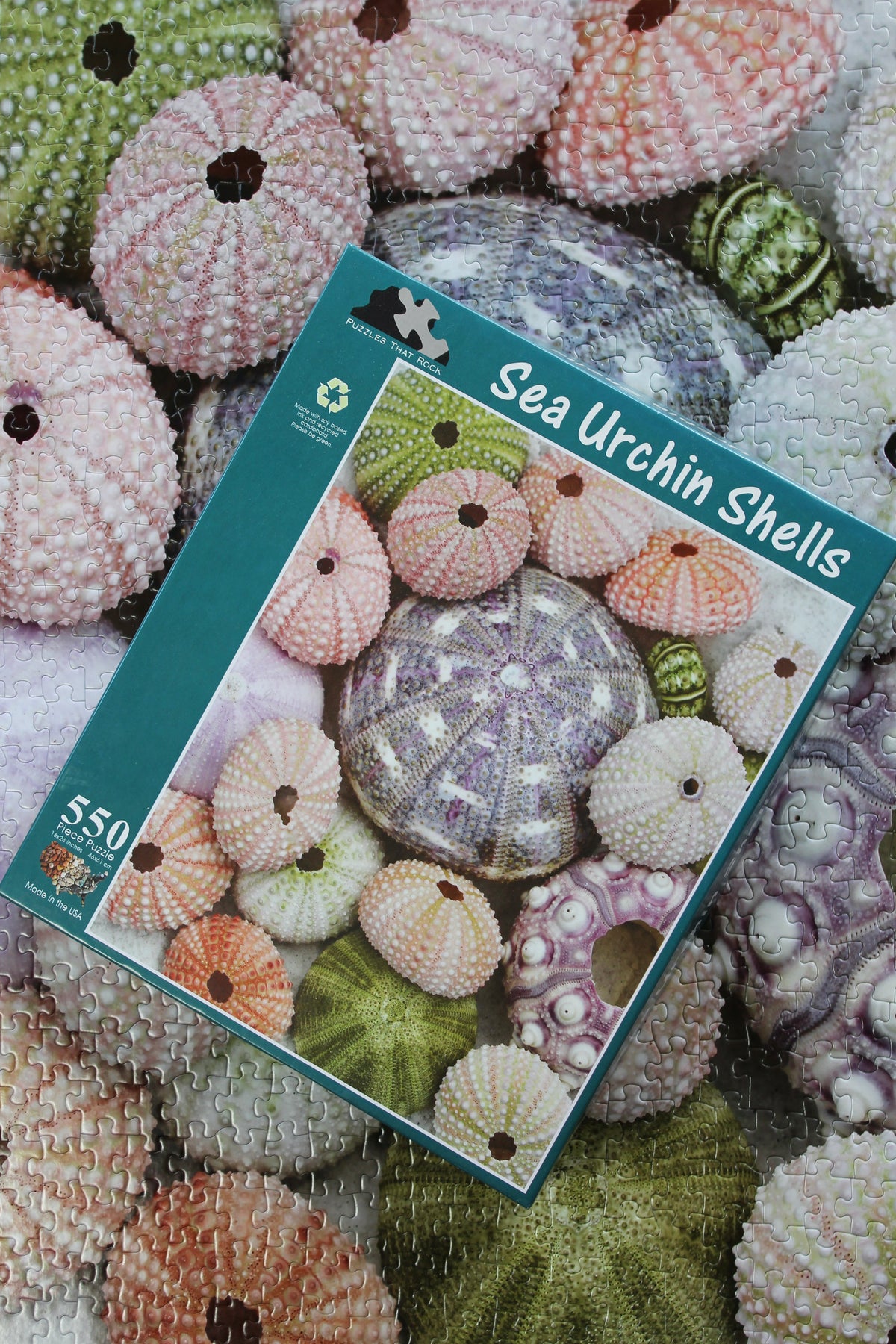 Florida Puzzle Bundle - 4 Puzzles