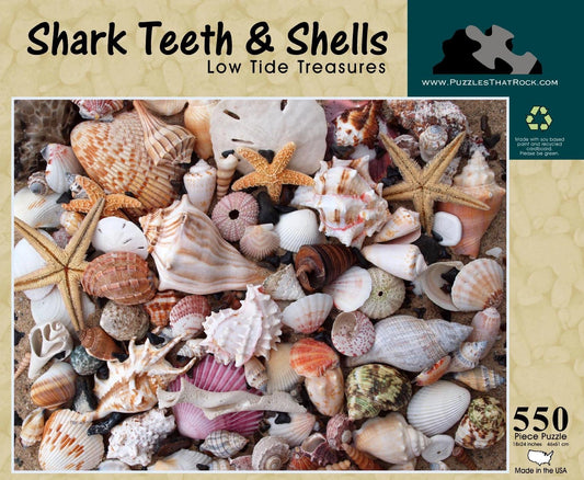Shark Teeth & Shells