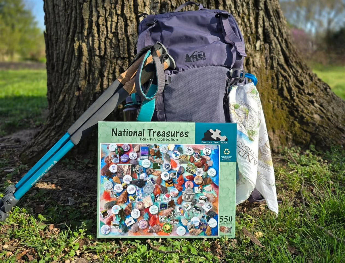 National Treasures Park Pins