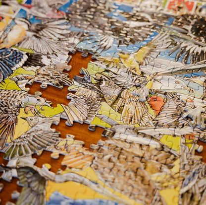 Winged Wonders Seek & Find