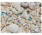 Beachcomber's Bounty