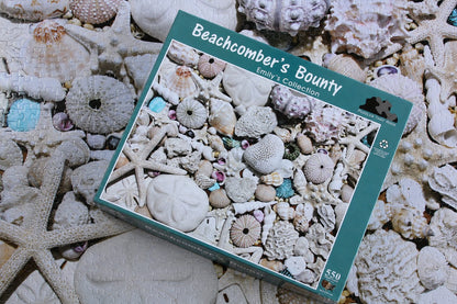 Beachcomber's Bounty