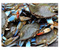 Crab Queen