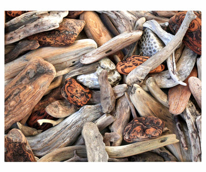 Driftwood Delight
