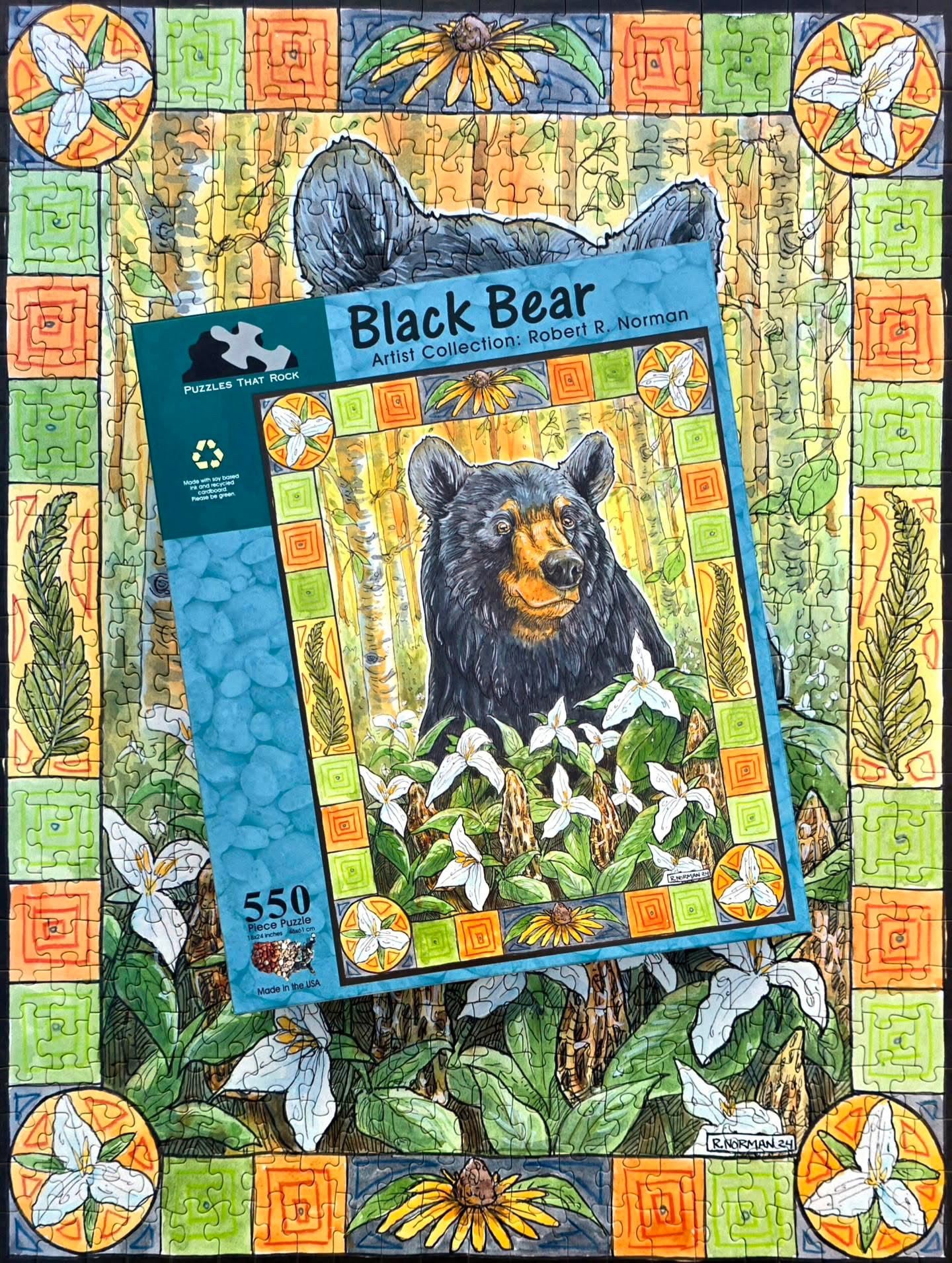 Black Bear
