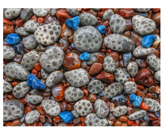 Freshwater Treasures