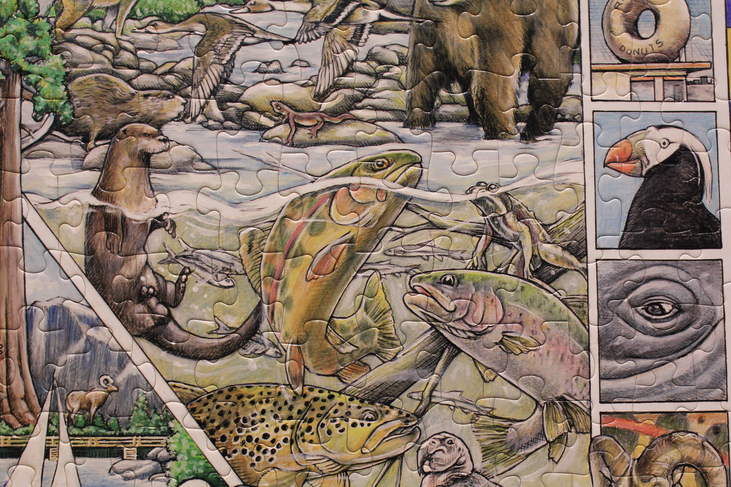 California Seek & Find