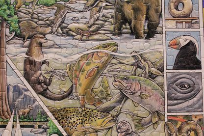 California Seek & Find