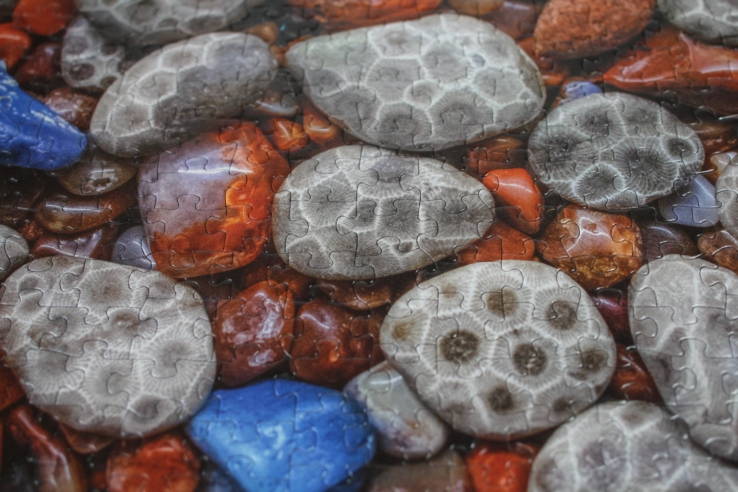 Freshwater Treasures