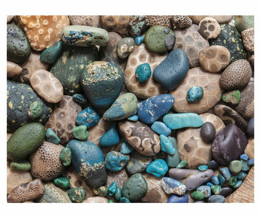 Lake Michigan Treasures