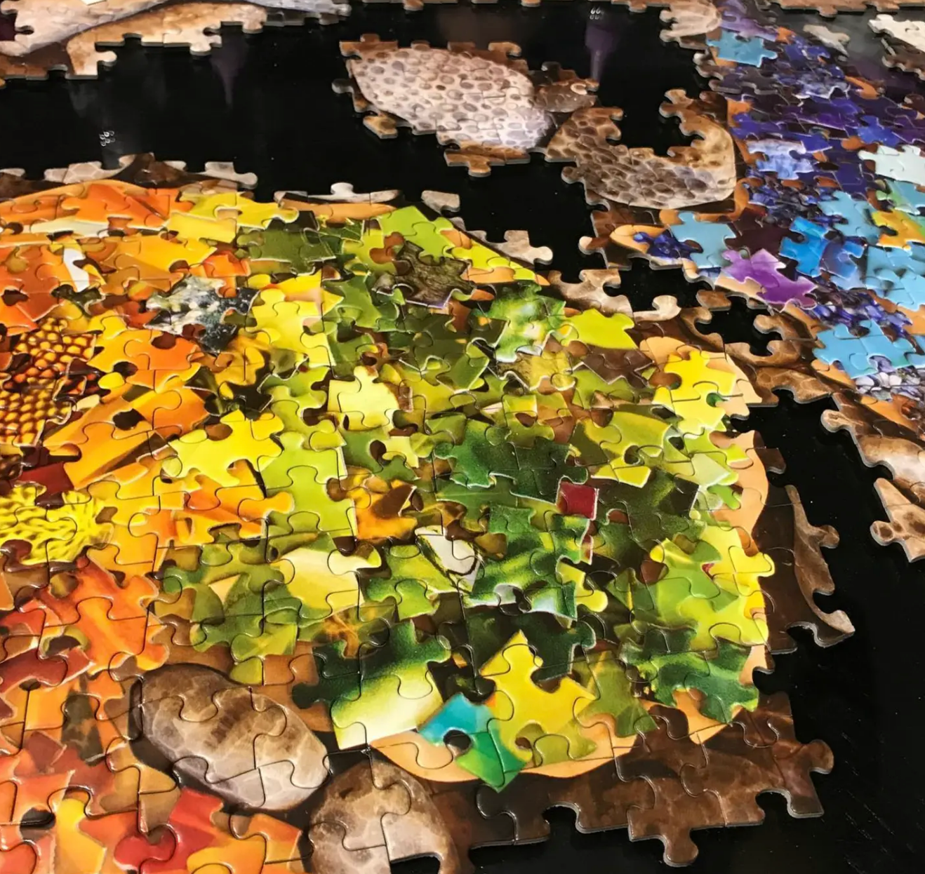 Michigan Our State Rocks