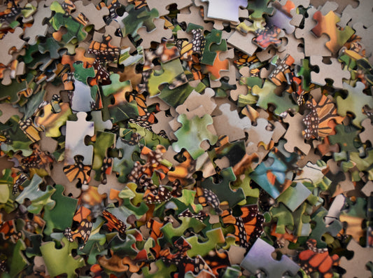 Monarch Migration