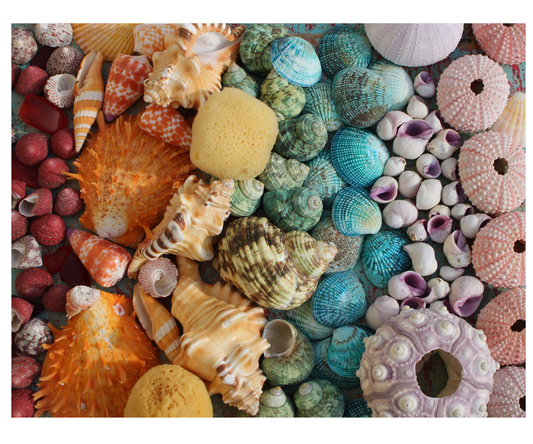 Rainbow Tide