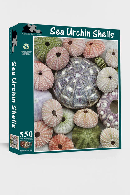 Sea Urchin Shells