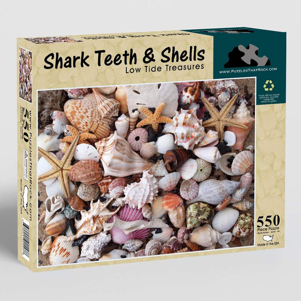Shark Teeth & Shells Puzzle | Coastal Nature Jigsaw for All Ages ...