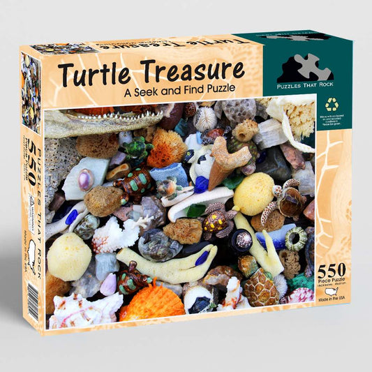 Turtle Treasure A Seek and Find