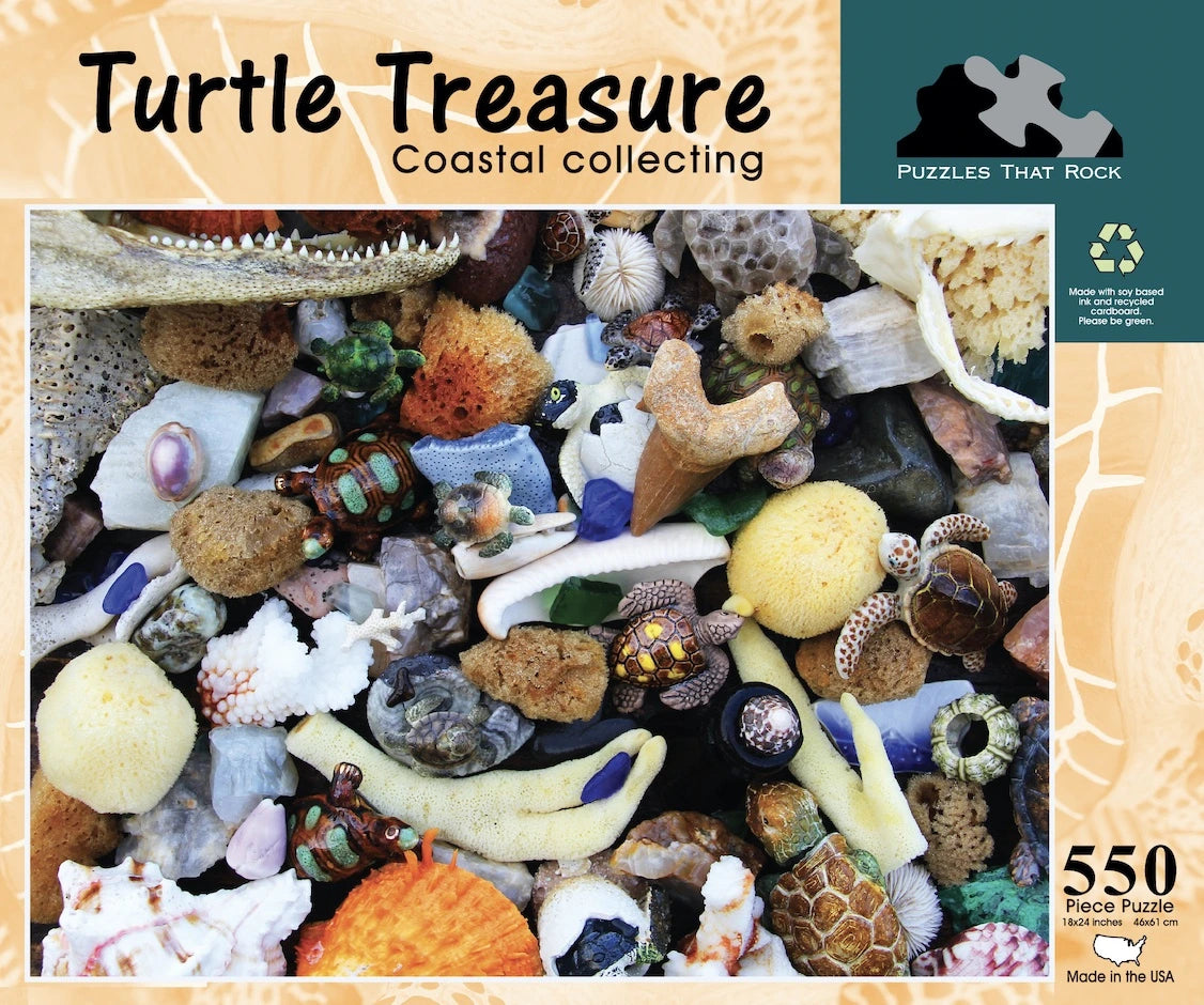 Turtle Treasure A Seek and Find – Puzzles That Rock