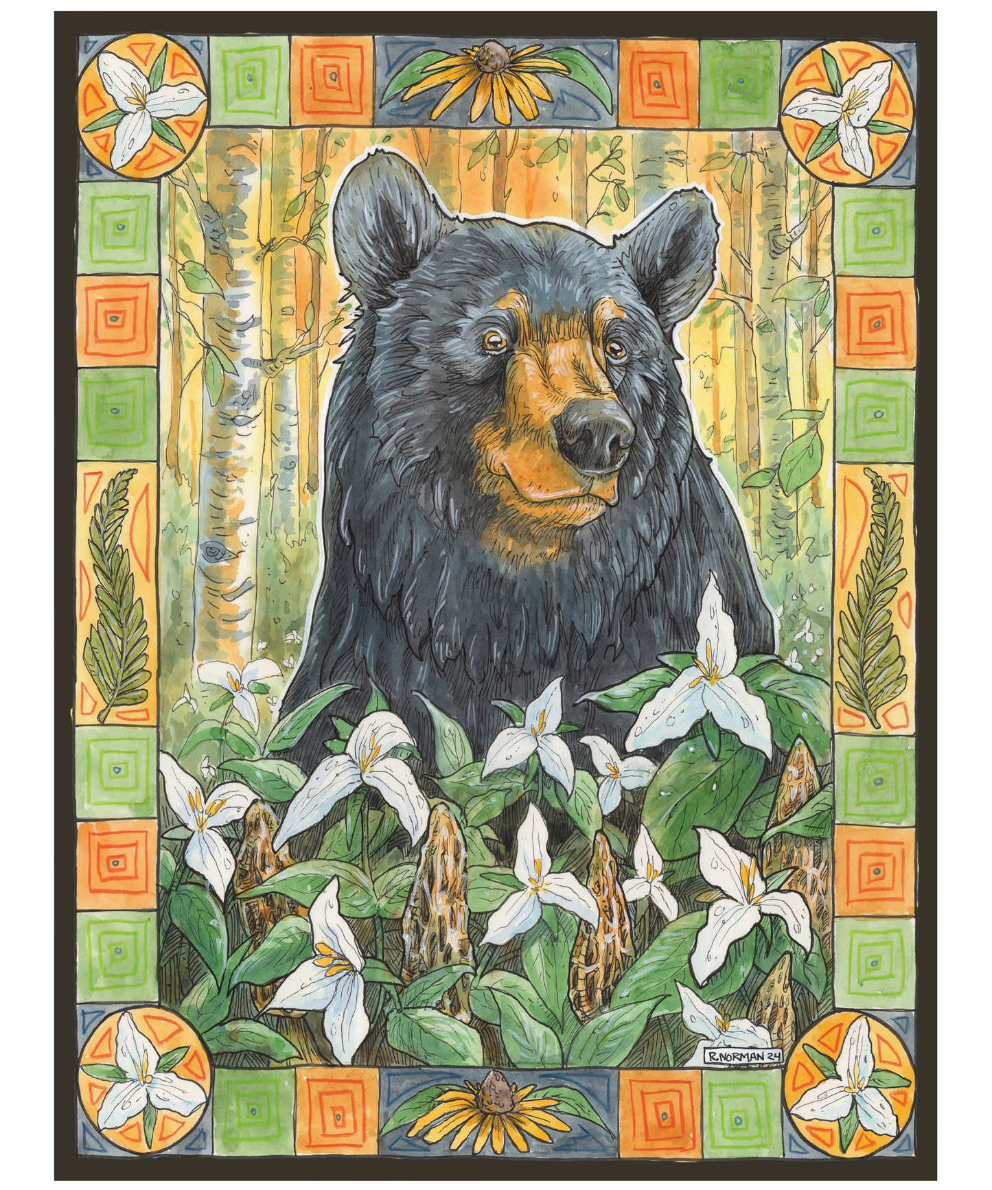 Black Bear