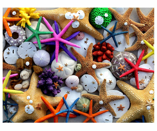 Seaside Stars
